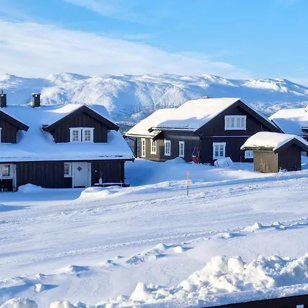 9 Person In Rauland, Cleaning Included Holiday home *